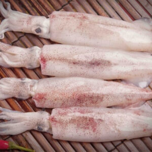MỰC ỐNG