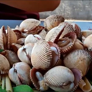 SÒ MÍA